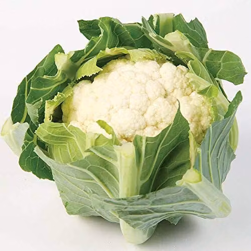 Thompson and Morgan Cauliflower White Step Seeds, 30 Seeds per Packet