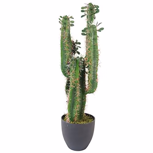 Leaf Premium Artificial Potted Succulent Cactus in Green and Black, Height: 75 cm