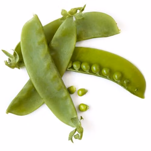 Thompson and Morgan Sweet Horizon Mangetout Pea Seeds, 120 Seeds