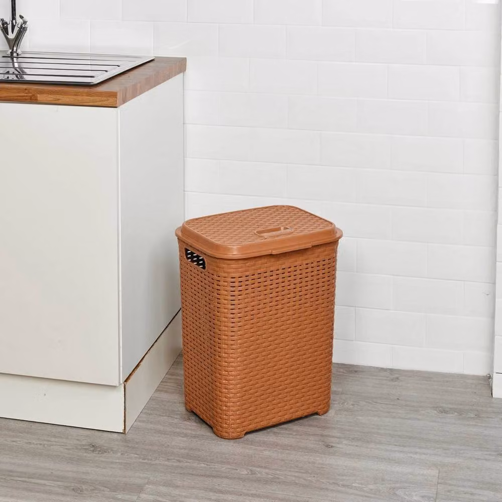 PAWNORA 45L Laundry Bin Basket in Beige Brown Rattan Style Plastic – 2