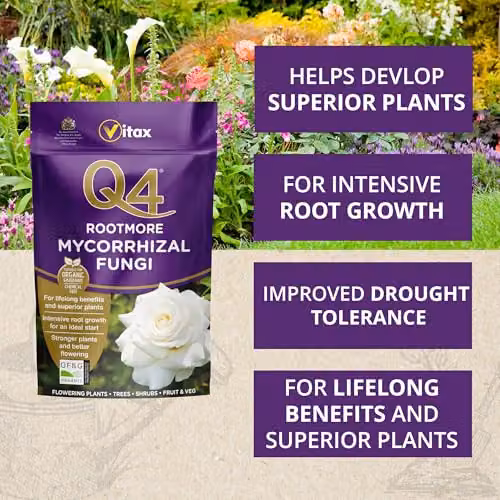 Vitax Q4 Rootmore Organic Mycorrhizal Fungi Rooting Powder, 250g – 2