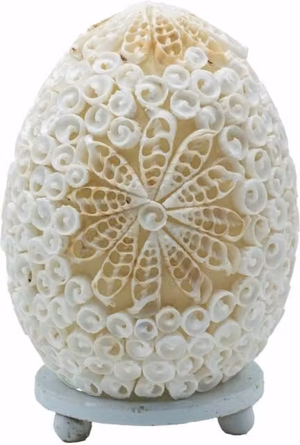 KDMD Boho Sea Shell Tabletop Lamp, Oval Cut Art Coastal Decor in White, Height: 15 cm