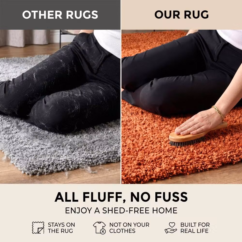 Bravich LTD Shaggy Area Rug in Terracotta, W/D/H: 290 x 200 x 5 cm – 4