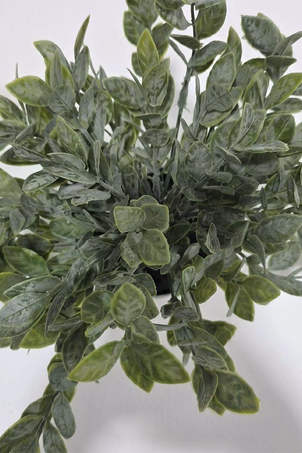 Homescapes Artificial Eucalyptus and Daphne Odora Potted Plant in a White Pot, Green – 2