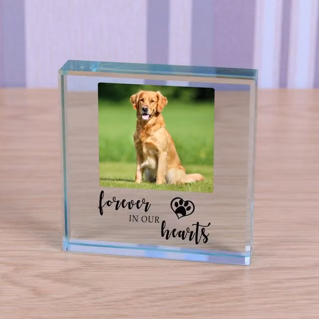 Uniqueful Personalised Forever in our Hearts Pet Memory Glass Token in Transparent and Beige