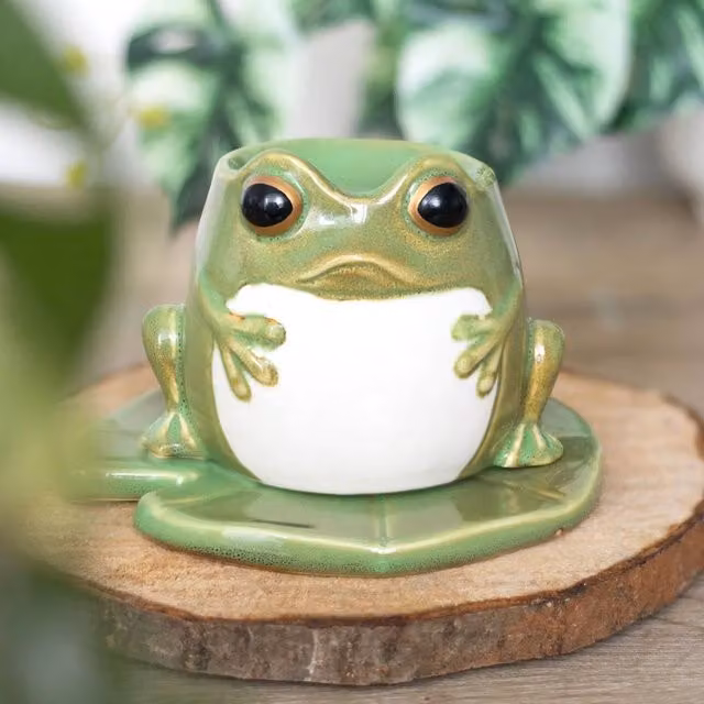 Uniqueful Frog Shaped Ceramic Oil Burner and Lily Pad Plate in Green, Diameter: 15 cm