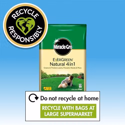 Miracle-Gro Natural 4 in 1 Lawn Feed, Weed and Moss Preventor Granulate for 175 m2 – 5