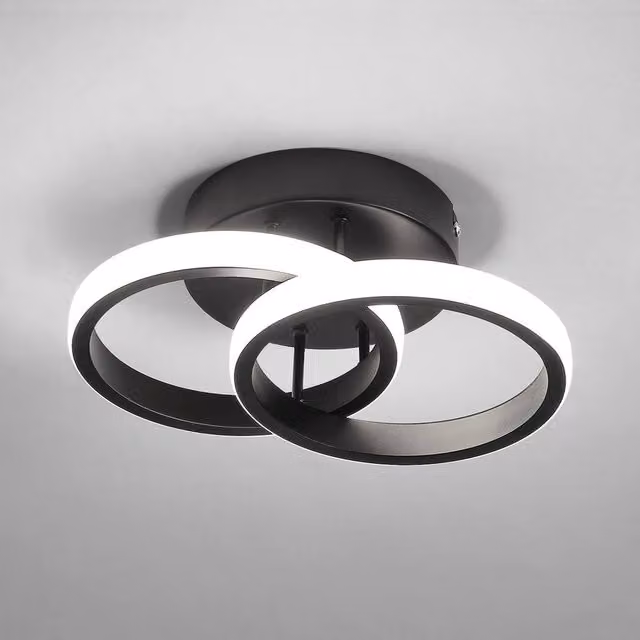 Pheashine Modern LED Ceiling Light, Black, Diameter: 25 cm, 6500K Cool White
