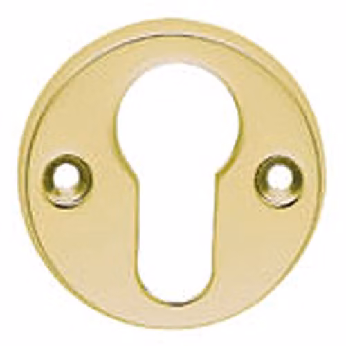Loops 45mm Euro Profile Open Escutcheon Keyhole Cover in Polished Brass