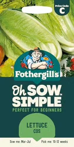 Mr Fothergill's Oh Sow Simple Romaine/Cos Lettuce Green Vegetable Seeds – 1