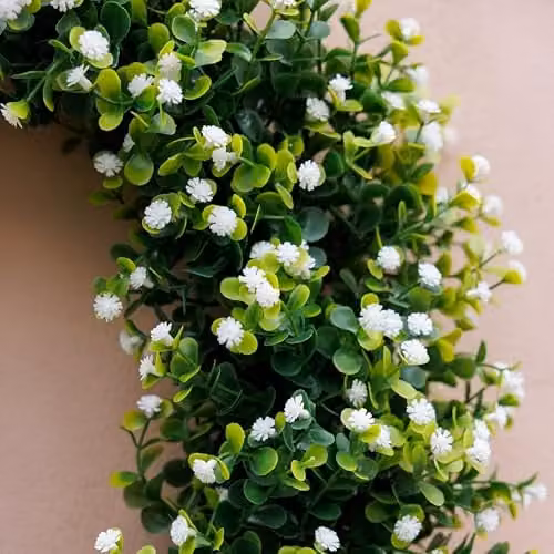 Primrose Gypsophila Baby's Breath Artificial Flower Wreath in Green and White with Hanging Loop, Diameter: 45 cm – 2