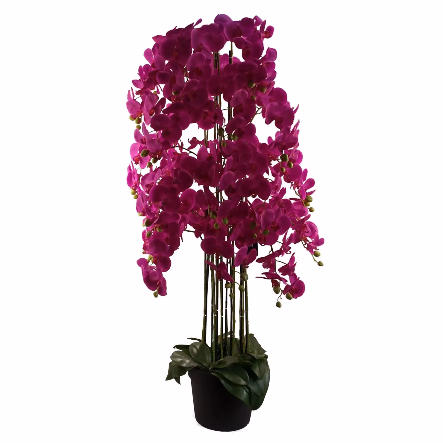 Leaf Botanik Realistic Artificial Purple Orchid Plant, Potted, Height: 150 cm – 3