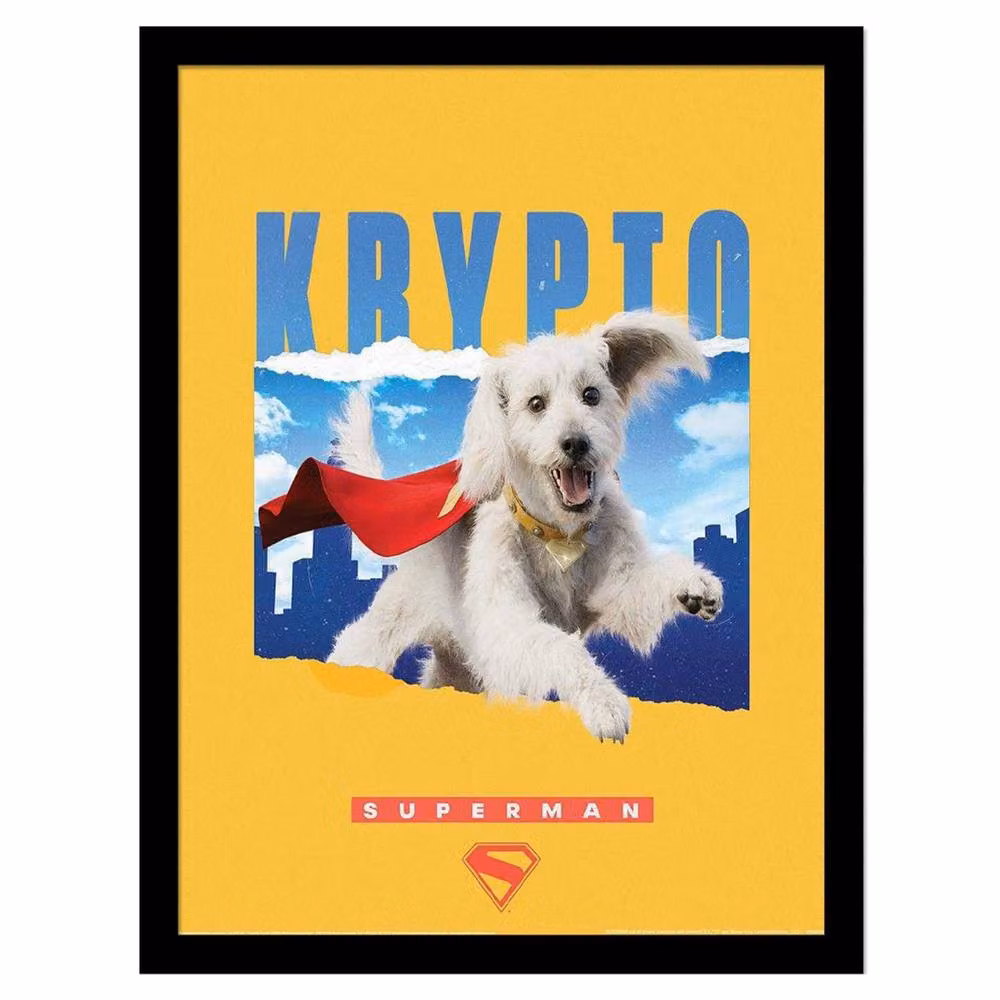 Superman Krypto Multicolour Framed Paper Poster – 2