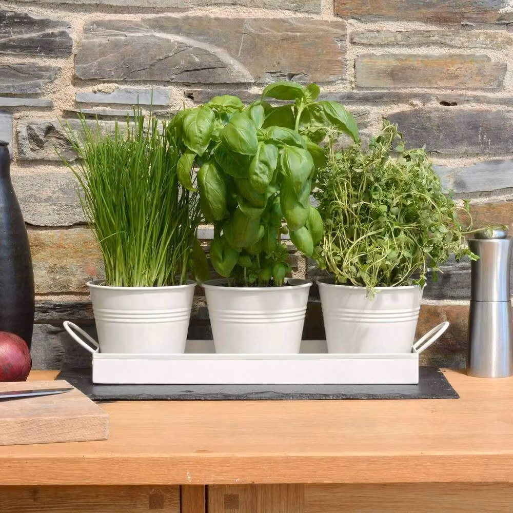 Kelvenix Metal Herb Pots with Tray Set in White – 2