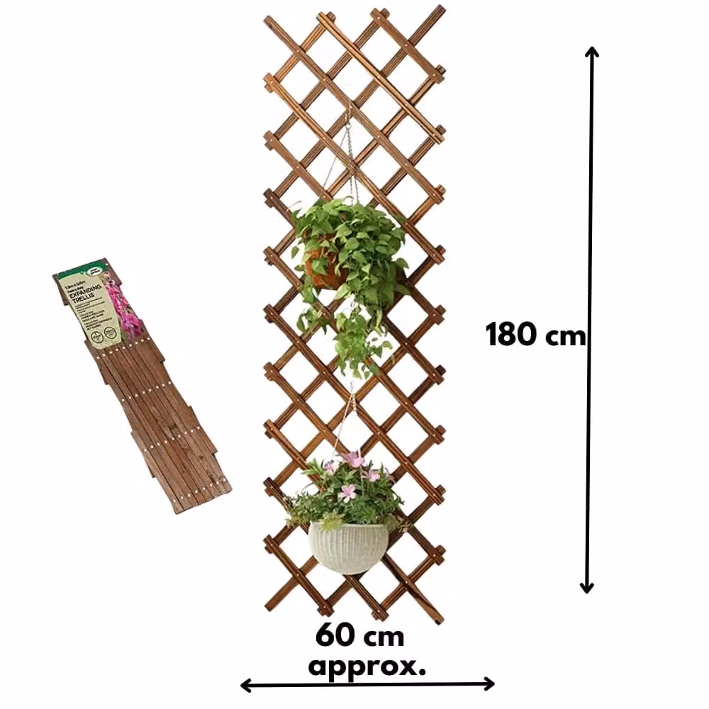 Marco Paul Heavy Duty Expanding Trellis in Brown, W: 180 cm, H: 60 cm – 3