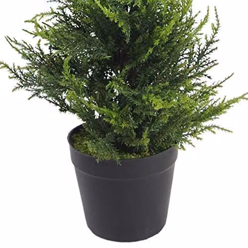 Green Leaf Artificial Cedar Cypress Conifer Tree – 2