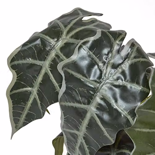 Homescapes Artificial Elephant Ear Plant in Green Pot, Height: 50 cm – 7