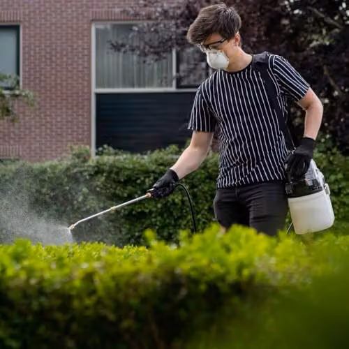 Batavia Maxxpack 18V Cordless Pressure Sprayer, 7.5 l – 3