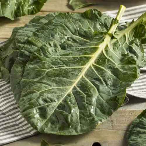 Thompson & Morgan Collard Hi-Crop F1 Vegetable Seeds, 1x Seed Packet