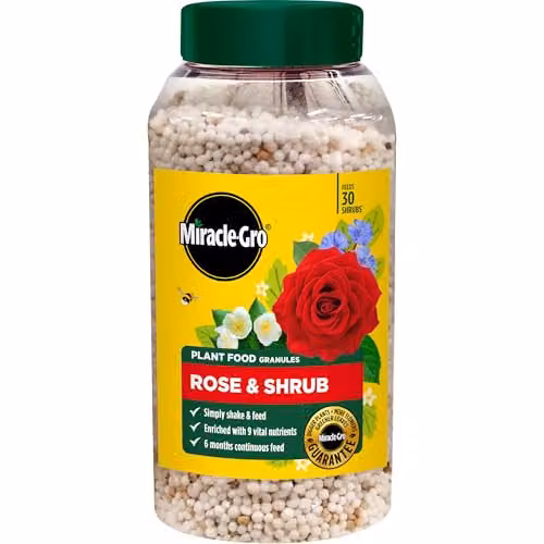 Miracle-Gro Premium Rose and Shrub Continuous Release Plant Food, 900g