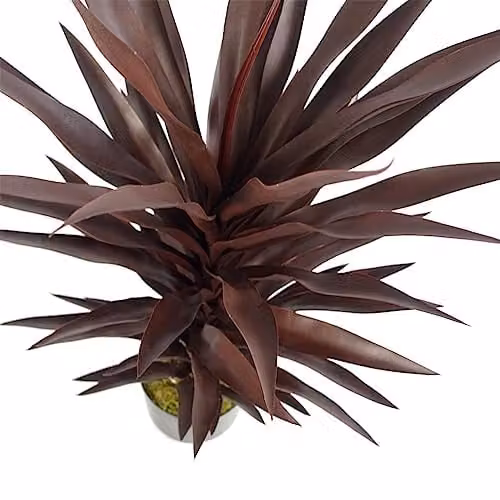 Leaf Design UK Red and Black Artificial Tropical Potted Tabletop Plant, Height: 85 cm – 3