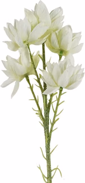 White Artificial Starflower Flower Stems with Textile Leaves
