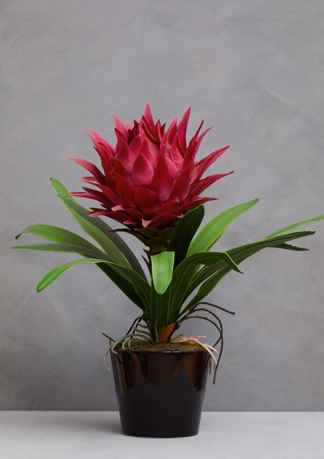 Orsina Pink Tropical Floral Plant in a Black Ceramic Tabletop Pot – 3