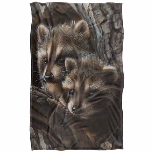 JQ Licensing Two Raccons Silky Touch Super Soft Fleece Throw Blanket, Brown and Multicolour, W/D/H: 91 x 147 cm – 1