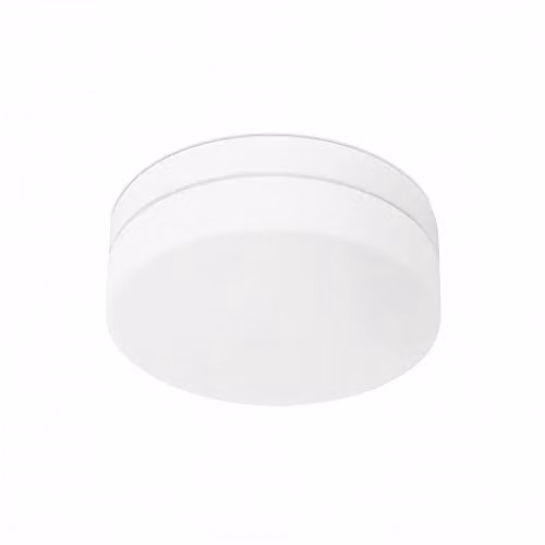 Netlighting Forlight Farrow Flush Ceiling Light, White, Diameter: 28 cm, 2x E27 40W – 1