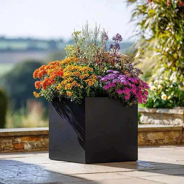 Tulipy Galvanised Steel Square Planter, Matte Black, W/D/H: 60 x 60 x 60 cm