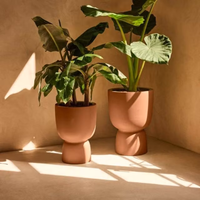 Elho Amber Coupe 41 Brown Plastic Indoor and Outdoor Planter – 1