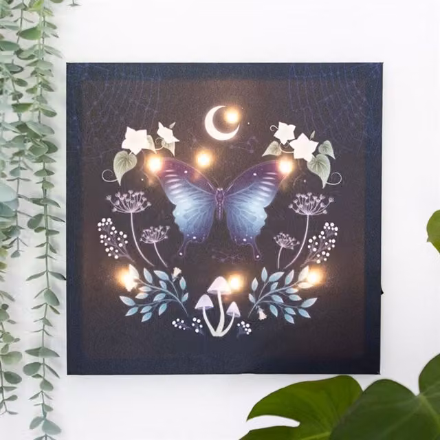 KDMK Magical Light-Up Canvas Plaque Mystical Moth Plant Decor, Brown and Multicolour, W: 30 cm, D: 30 cm