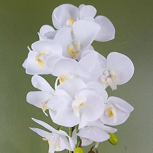 Leaf Large White and Gold Artificial Potted Orchid – 2