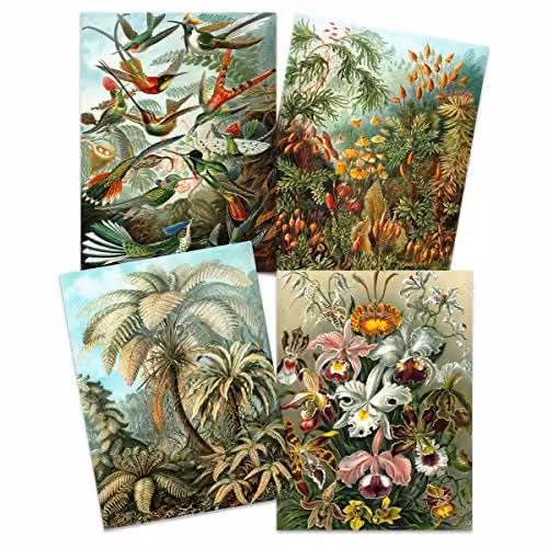 Artery8 Ernst Haeckel Kunstformen Der Natur Vintage Nature Art Print Poster Pack of 4, Multicolour