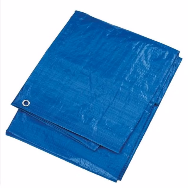 Harris Blue Plastic Tarpaulin – 1