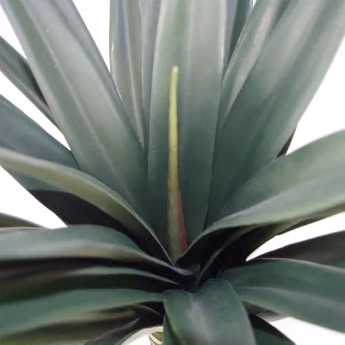 Leaf Design UK Artificial Green Yukka Tropical Potted Plant, Height: 90 cm – 3