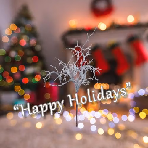 VFM e-Store Christmas Curly Twig Pick Decoration in Silver, W/D/H: 21 x 15 x 1 cm – 3