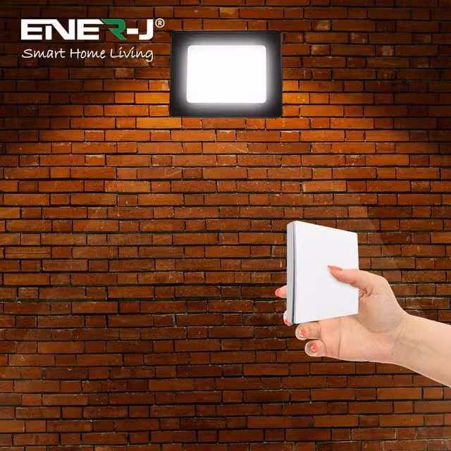 ENER-J 30W LED Floodlight in Black with Non-Dimmable 5A RF Receiver and Shatterproof Glass