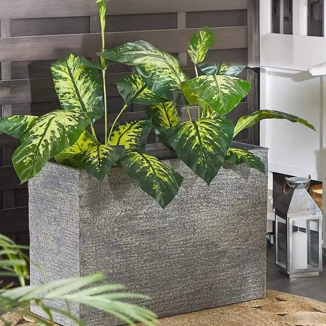 Wyld and Coco Grey Rectangular Fibreglass Reinforced Fibre Clay Planter Tub W: 80.0 cm, D: 56.0 cm, H: 35.0 cm – 1