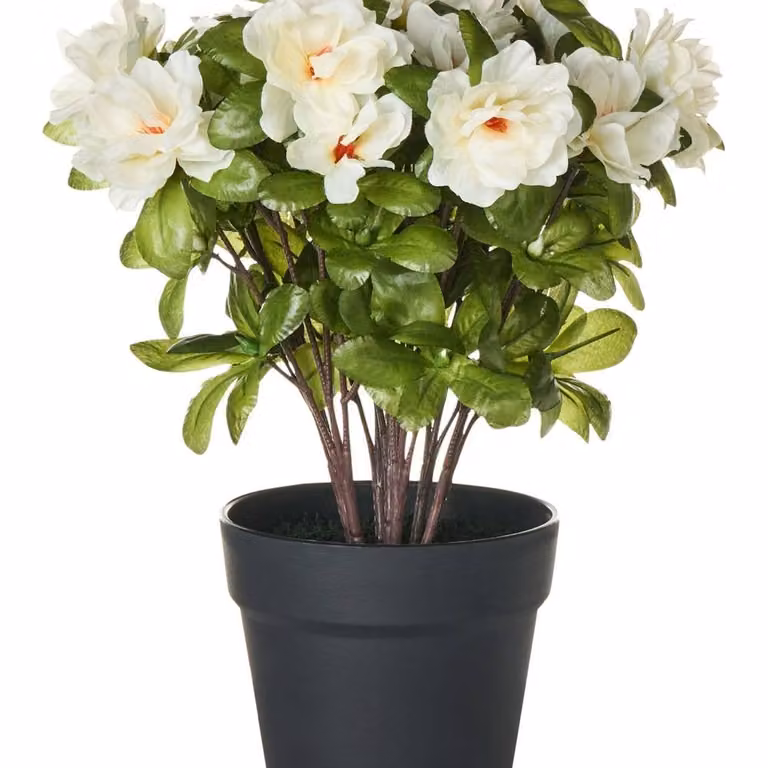 Wyld and Coco Artificial Potted White Rhododendron Flowers in Green, Height: 36 cm