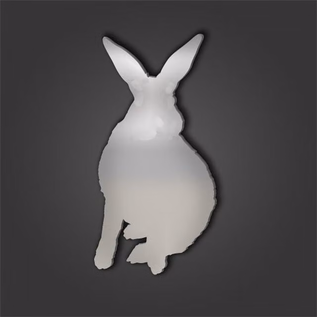 Rabbit Style 6 Silver Acrylic Wall Mirror, Diameter: 20 cm