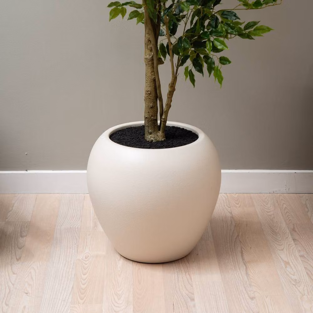 Scottish Everlastings Ltd 215 cm Ficus Tree in Green – 3