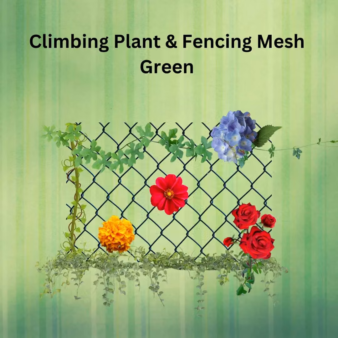Marco Paul Green Climbing Plant and Fencing Mesh Trellis Support – 2