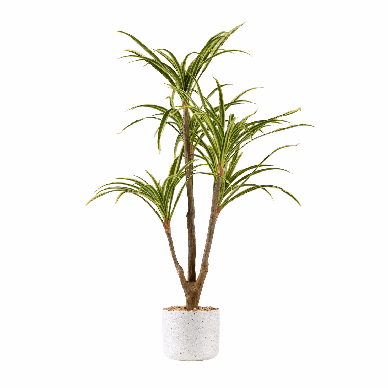 Scottish Everlastings Ltd 90cm Real Touch Yucca Tree in a White Speckled Plastic Pot, Green – 2