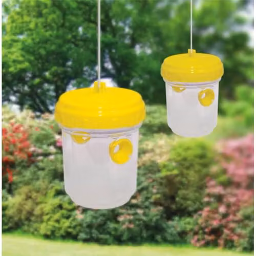 St Helens Home & Garden Non-Toxic Flying Insect Trap, Yellow, Pack of 2 – 3