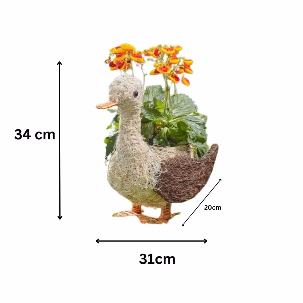Marco Paul Rattan Garden Planter Tub in Brown, W/D/H: 31.0 x 34.0 x 20.0 cm – 2