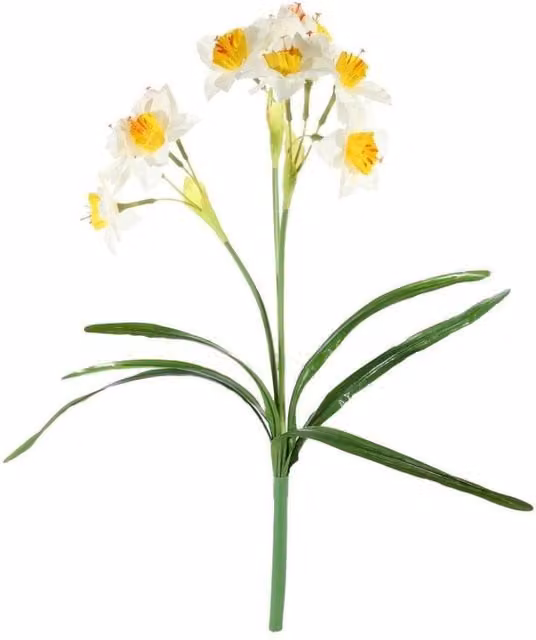 KDMD White Daffodil Floral Plant 2 Pack