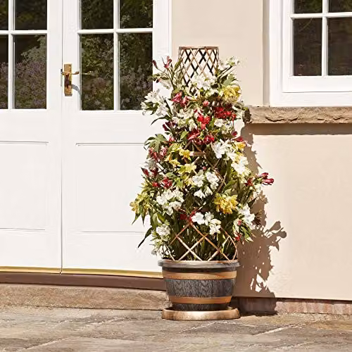 Thompson & Morgan Barrel Effect Flower Tower Planter with Frame and Saucer in Gold and Brown – 4