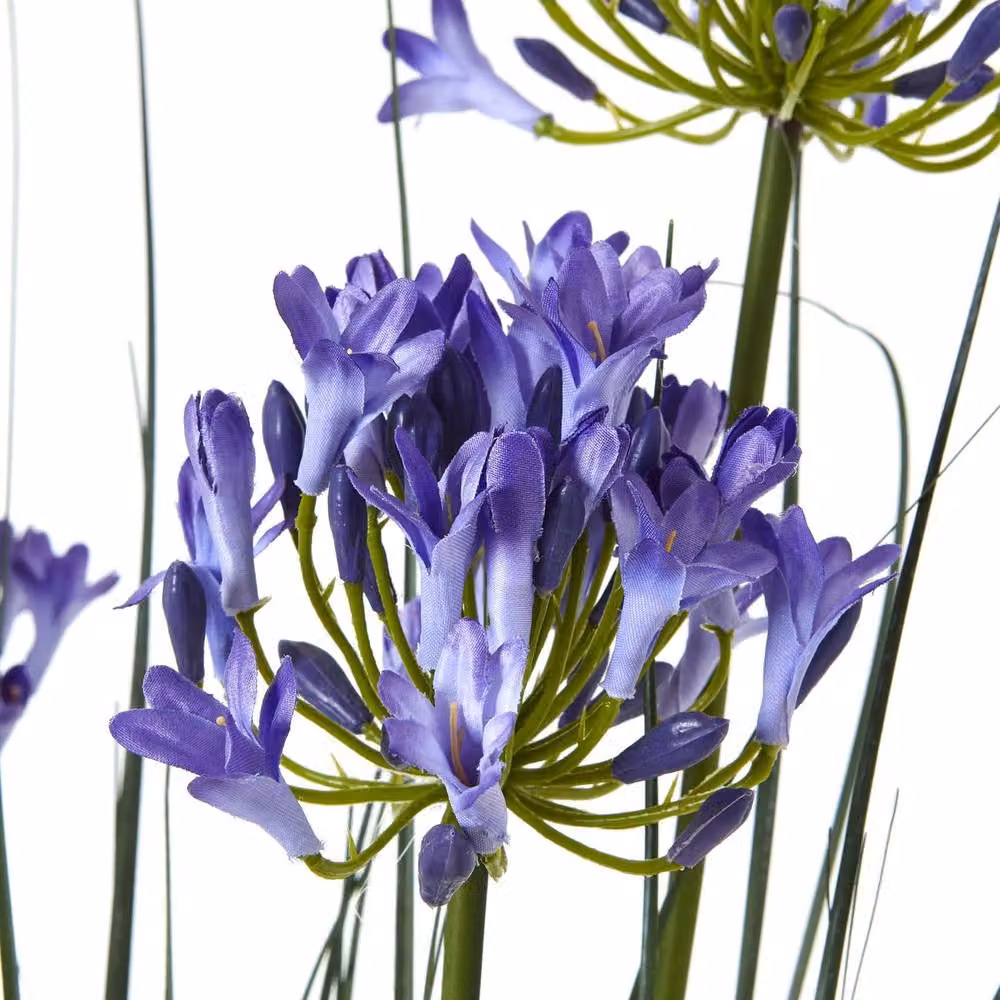 Wyld Haus Blue Artificial Agapanthus Faux Flower, Height: 120 cm – 2