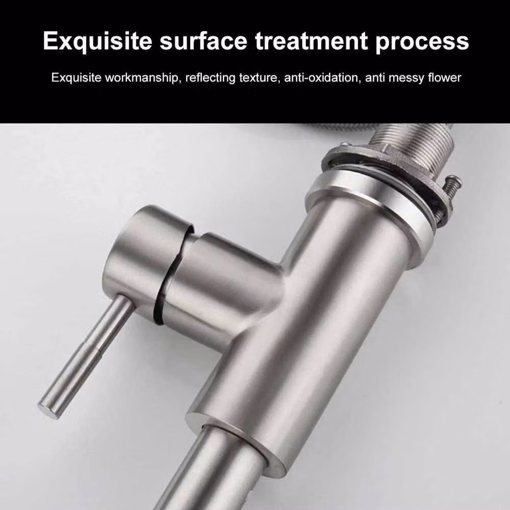 FLAVORA Silver Brushed Steel Stainless Steel Kitchen Faucet with Pull Out Spray Tap – 2